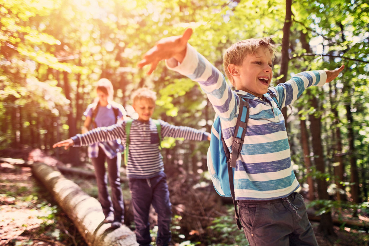 Happy kids hiking in a forest. Children are walking on a faller tree trunk, balancing with arms outstretched.