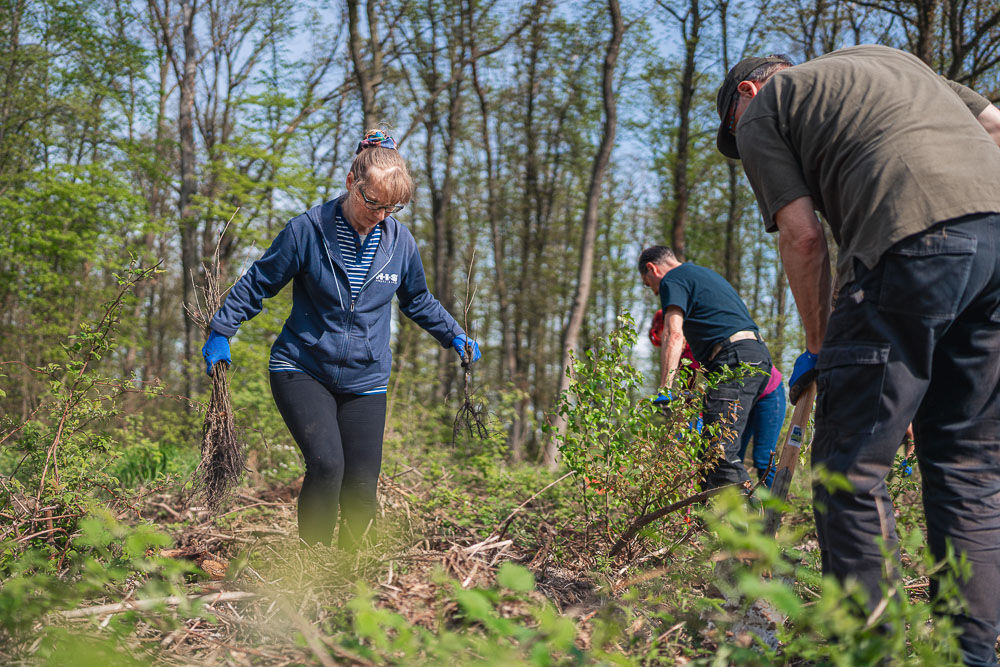 Menschen im Wald