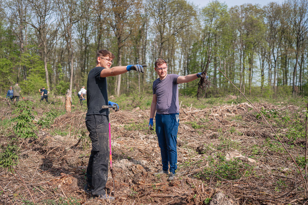 Menschen, die auf den Wald zeigen