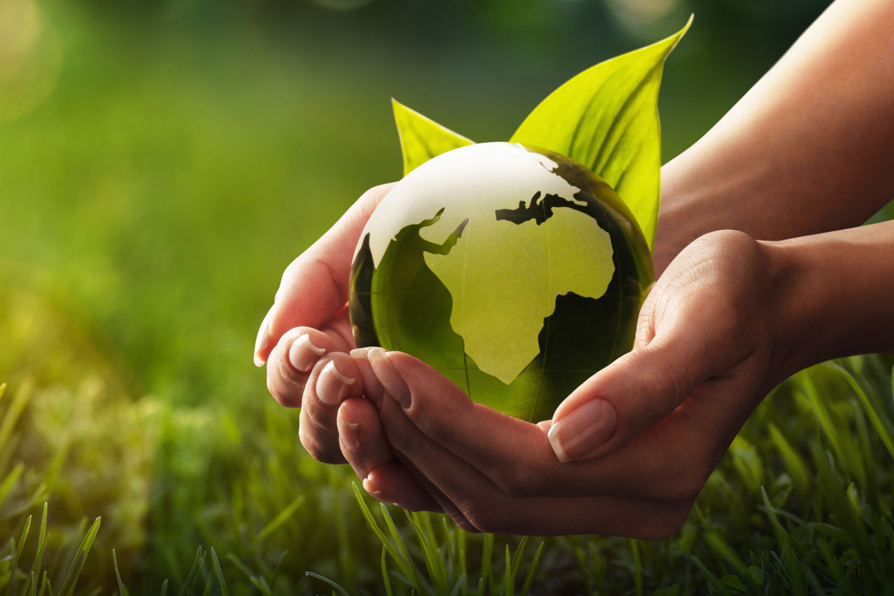 Hände die eine grüne Kugel halten vor einer Wiese