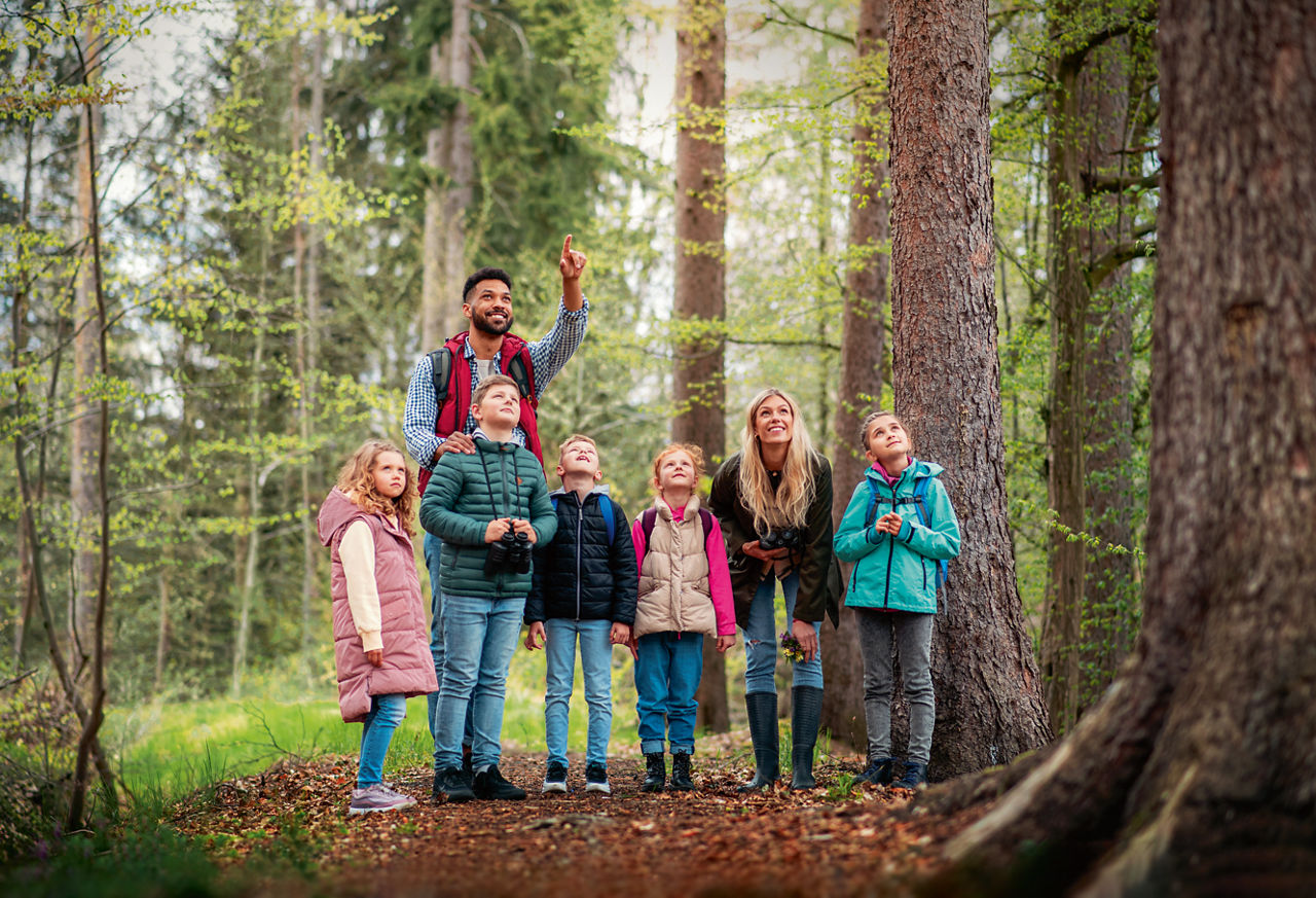 Kinder stehen mit ihrem Lehrer zusammen im Wald und schauen nach oben.
