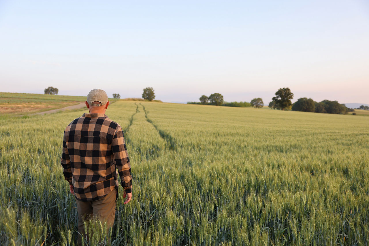 Mann spaziert über ein Feld