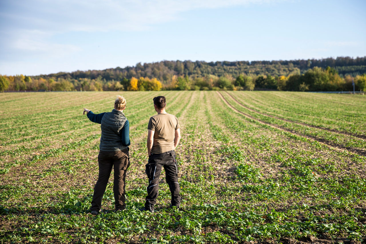 Zwei Personen stehen auf einem Feld