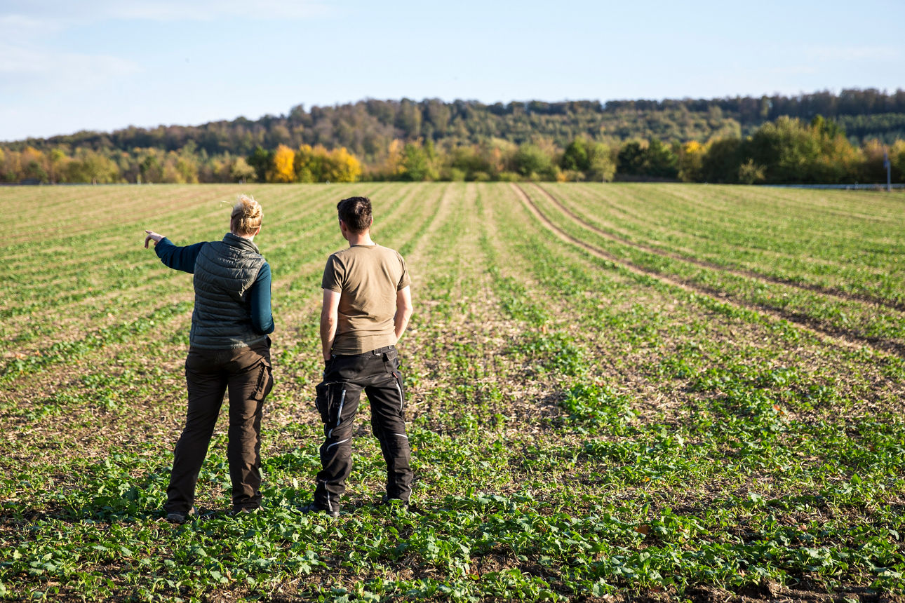 Zwei Personen stehen auf einem Feld