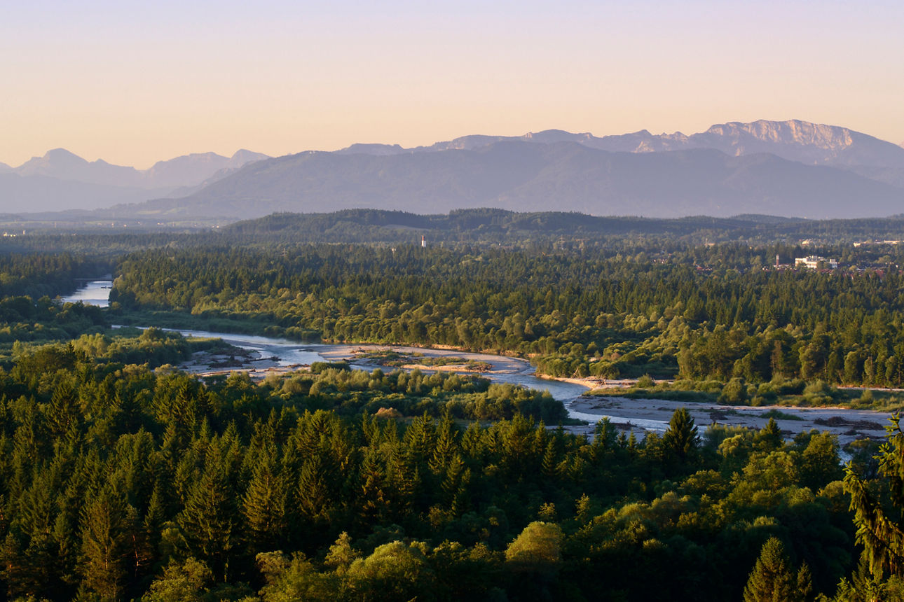 Icking Pupplinger Au