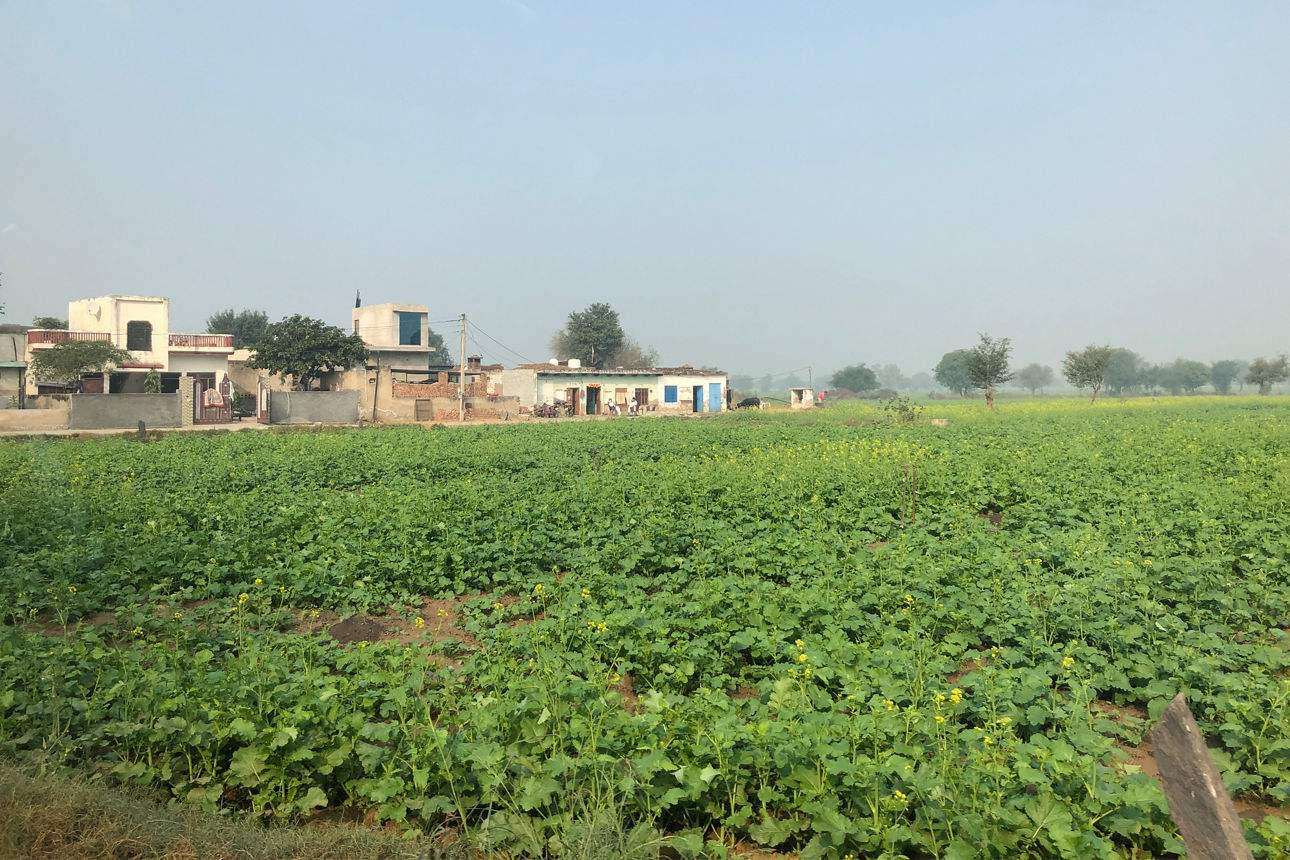 Ein Acker in Indien, im Hintergrund ein Dorf