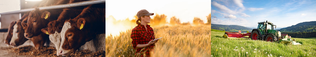 Landwirtschaft