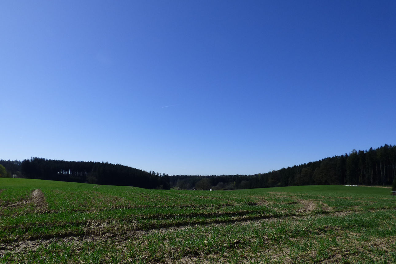  Landwirtschaftsfläche bei Altfraunhofen