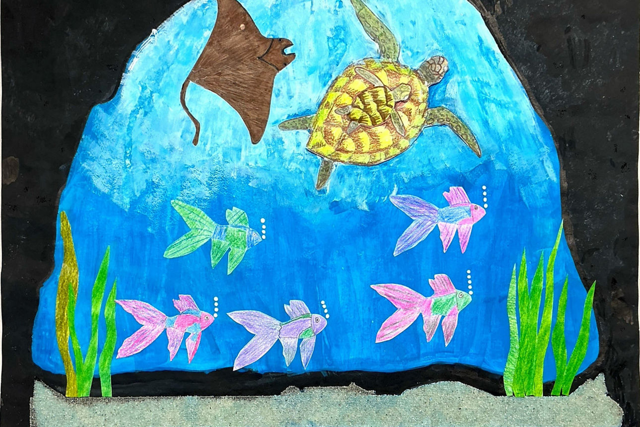 Auf einer Zeichnung schwimmen eine Meeresschildkröte, ein Rochen und viele Fische im Meer