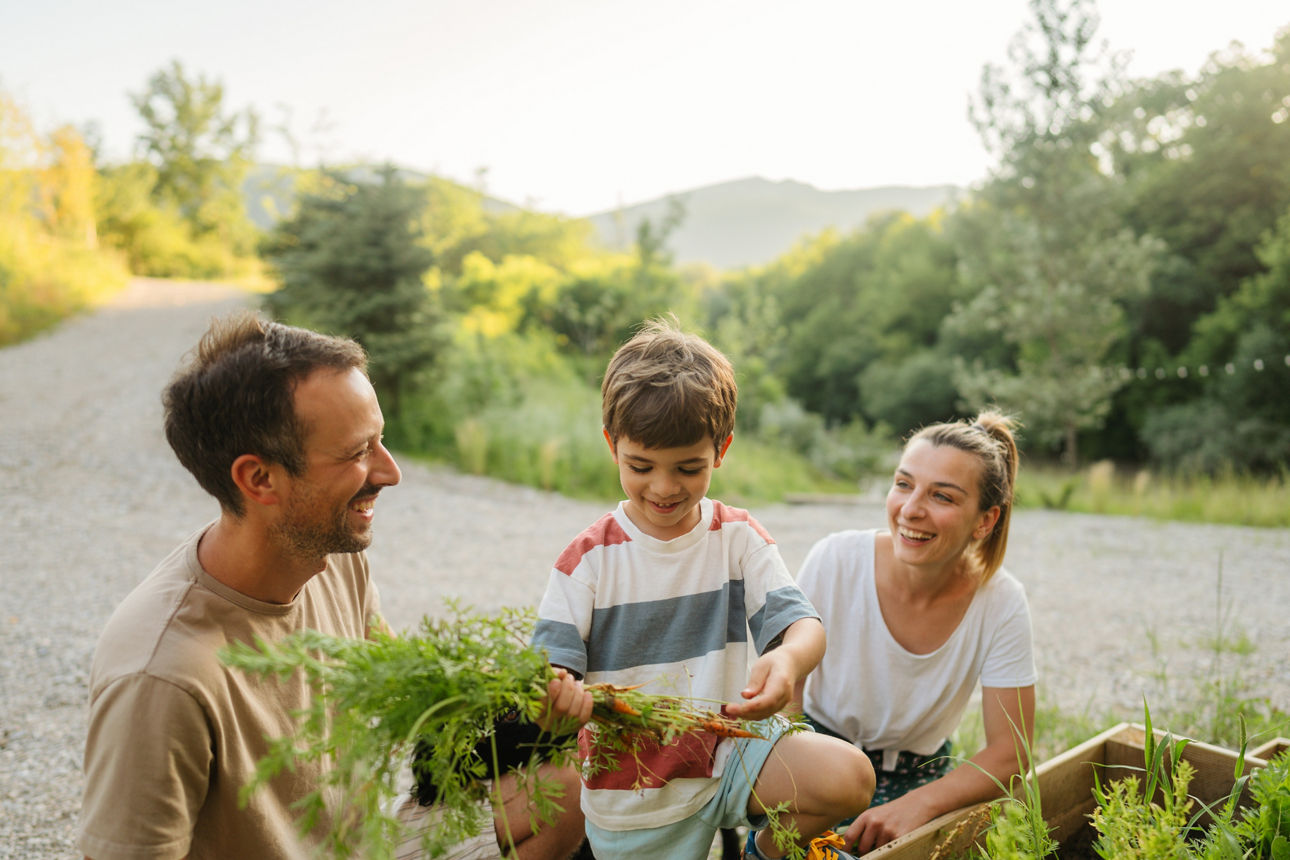 Familie kniet vor einem Hochbeet und der Sohn erntet Karotten