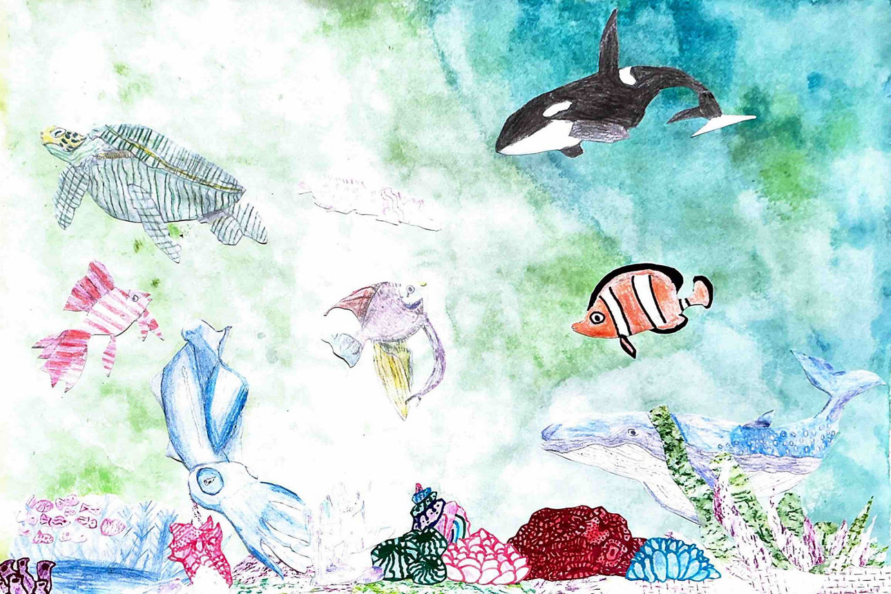 Auf einer Zeichnung schwimmen verschiedene bunte Fische im Meer