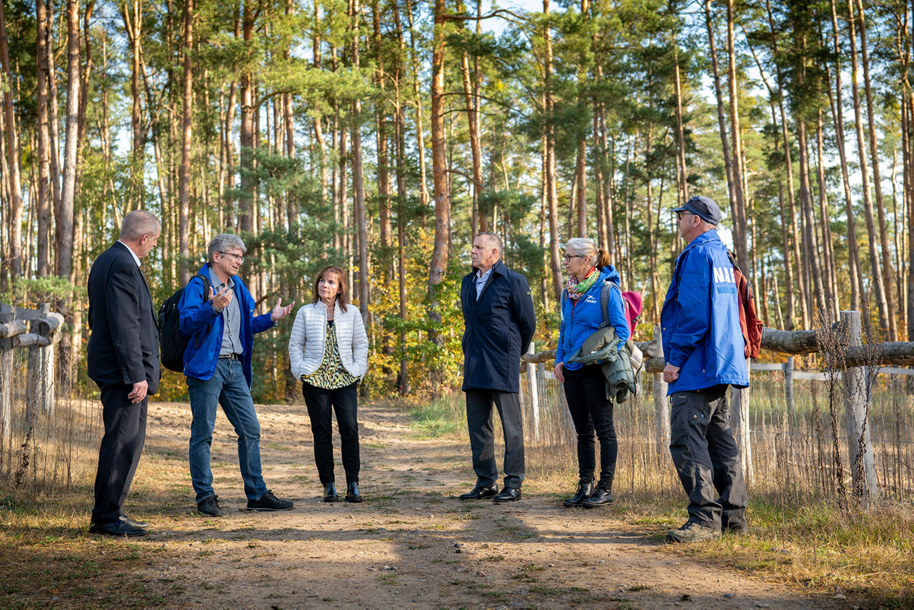 Sechs Personen stehen auf einem Waldweg und bekommen etwas erklärt