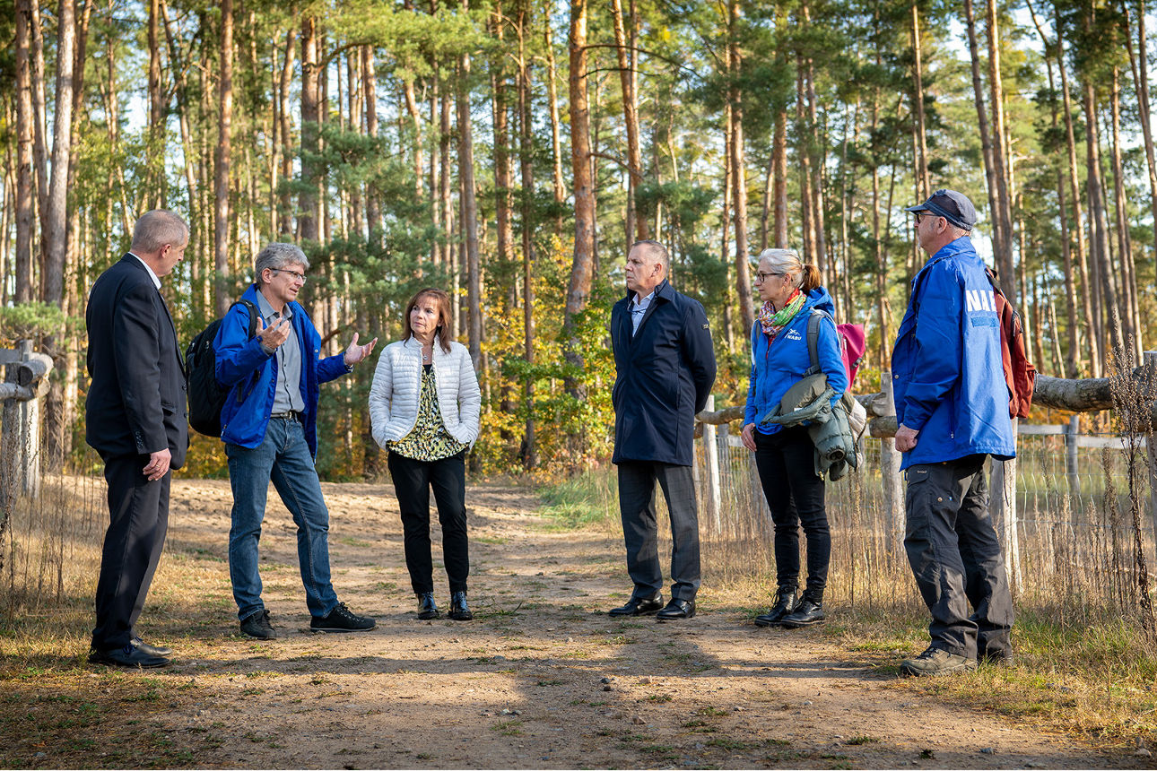 Sechs Personen stehen auf einem Waldweg und bekommen etwas erklärt