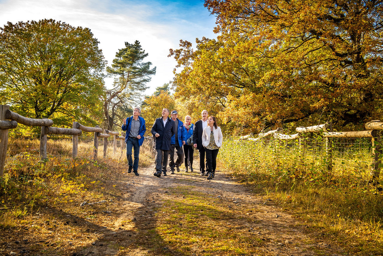 Sechs Personen laufen einen Waldweg entlang