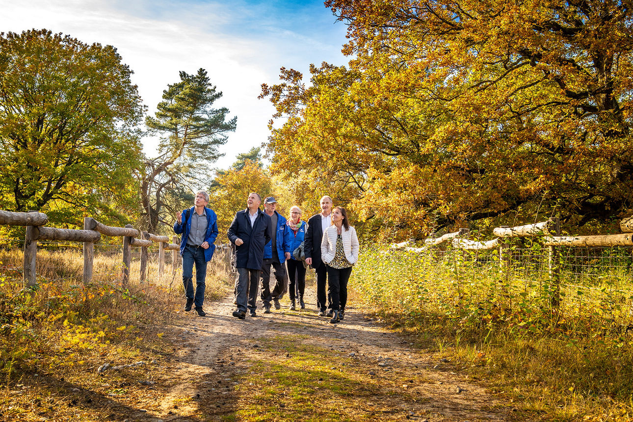 Sechs Personen laufen einen Waldweg entlang