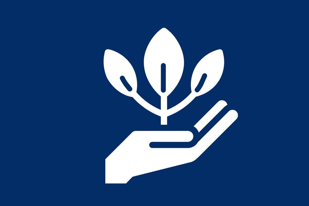 Eine Handfläche zeigt sich offen in der eine Pflanze wächst