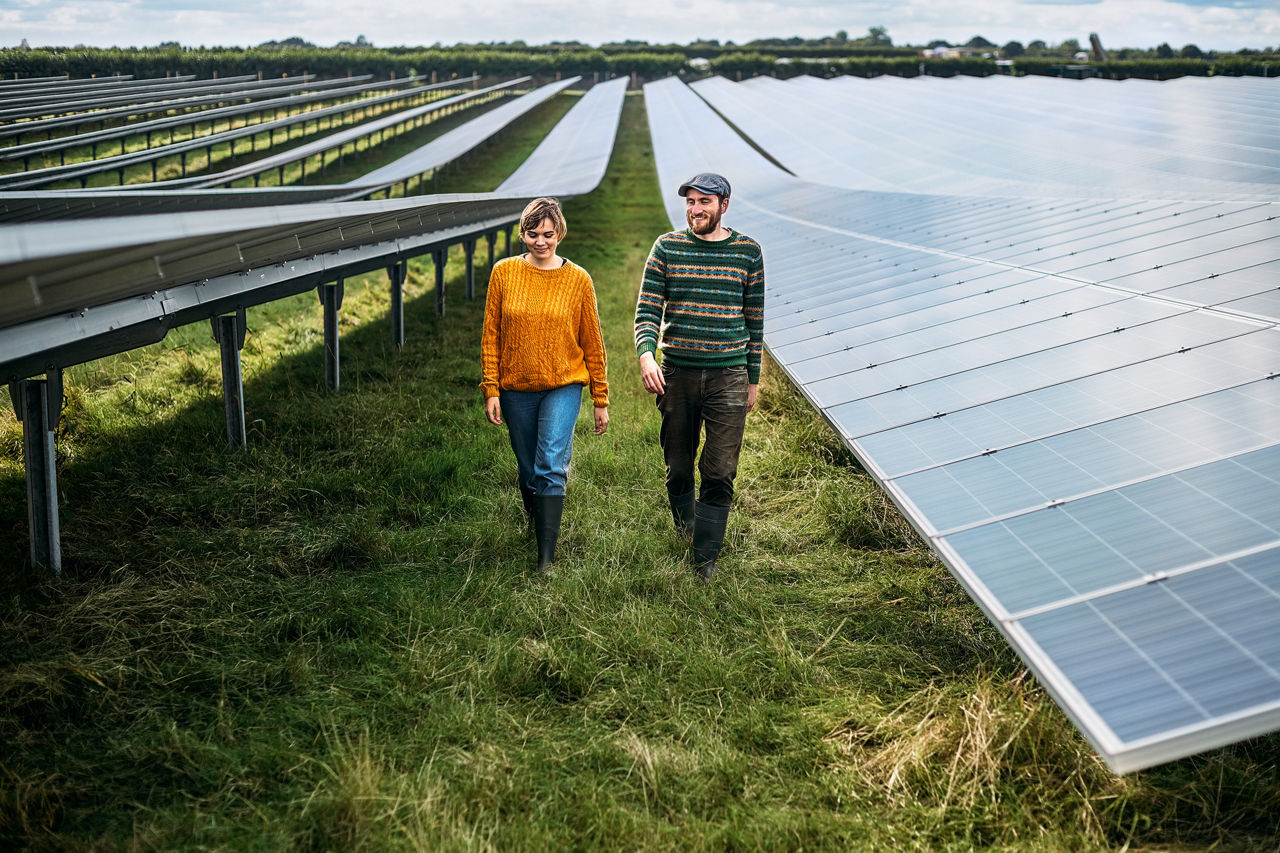 Eine Frau und ein Mann gehen durch einen Solarpark