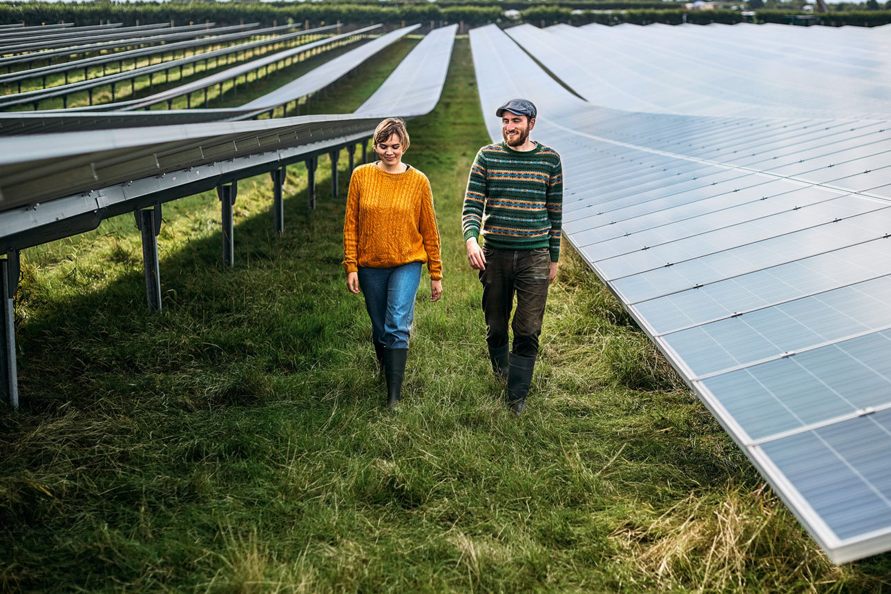 Eine Frau und ein Mann gehen durch einen Solarpark