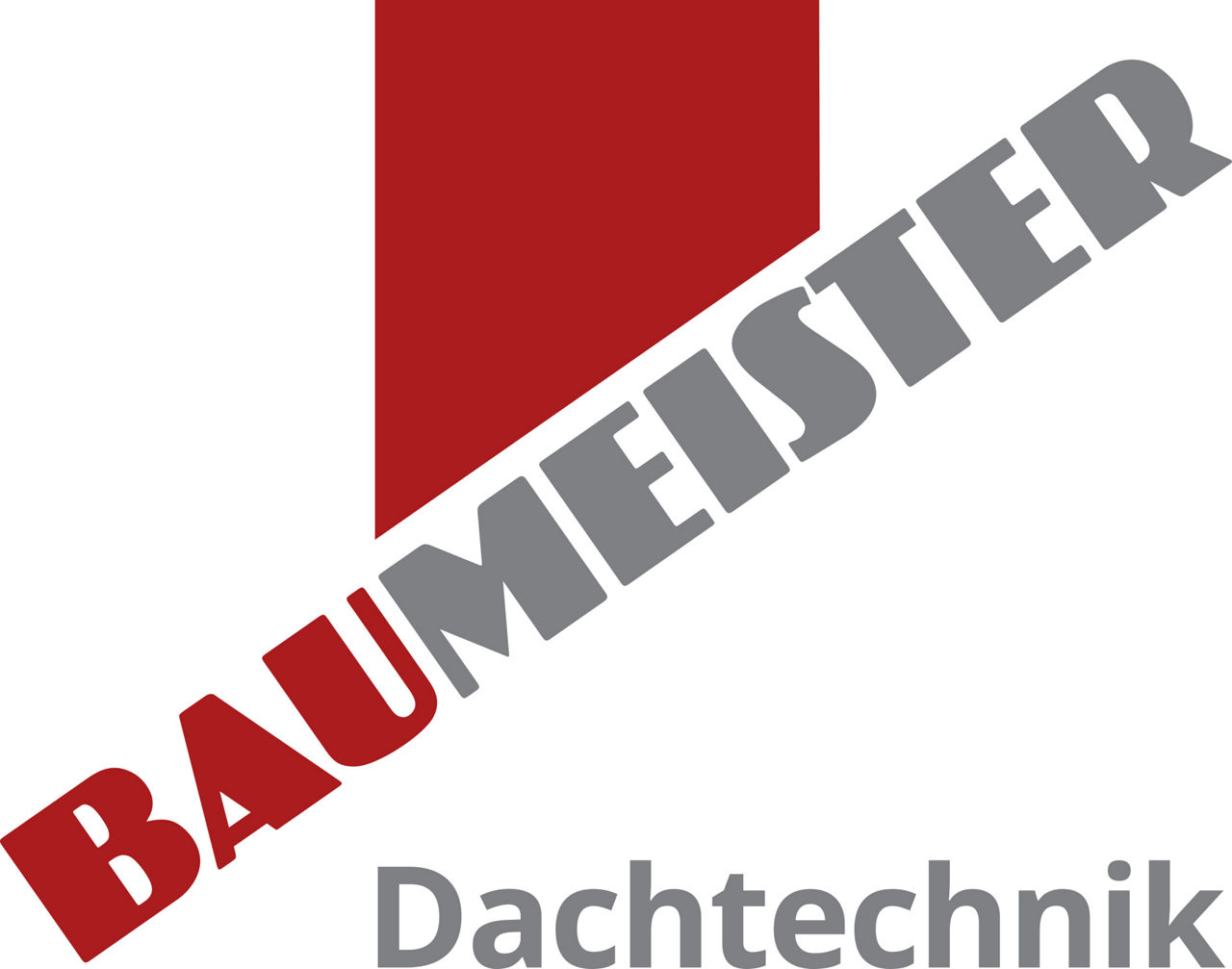 Logo Baumeister Dachtechnik