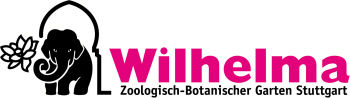 Links ist die Abbildung eines Elefanten zu sehen. Rechts daneben steht in Pink "Wilhelma" und in schwarz "Zoologisch-Botanischer Garten Stuttgart"