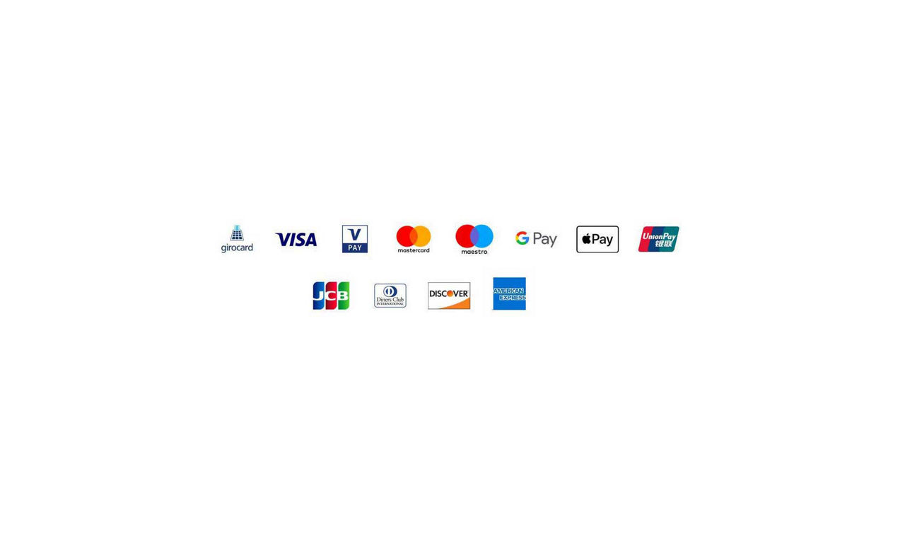 Logoleiste Zahlungspartner