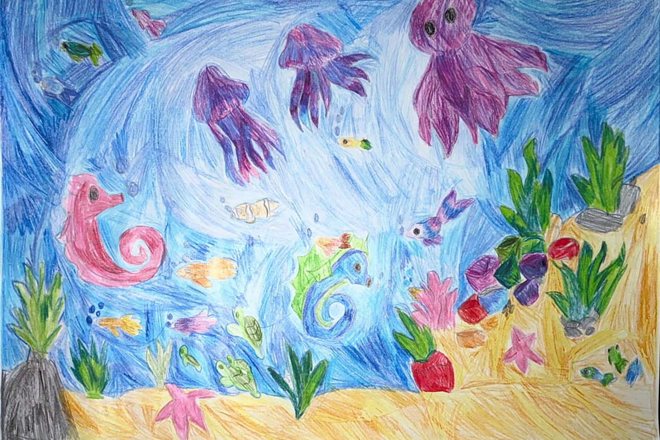 Eine Zeichnung die eine Unterwasserwelt mit Quallen, Seepferdchen und Pflanzen zeigt