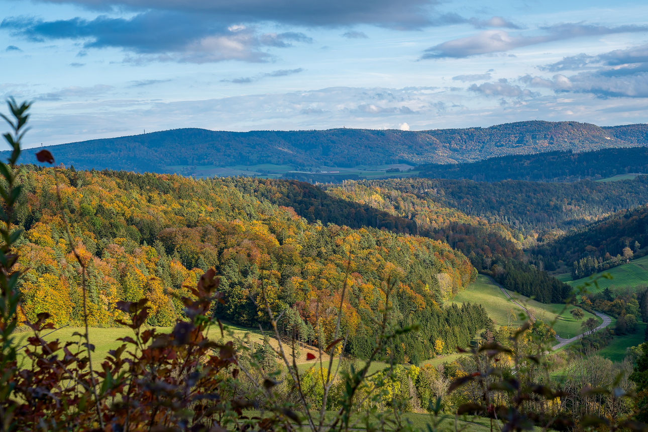 Blick ins Tal von Lembach