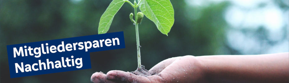 Eine Hand, die eine grüne, wachsende Pflanze in ihrer Handfläche hält
