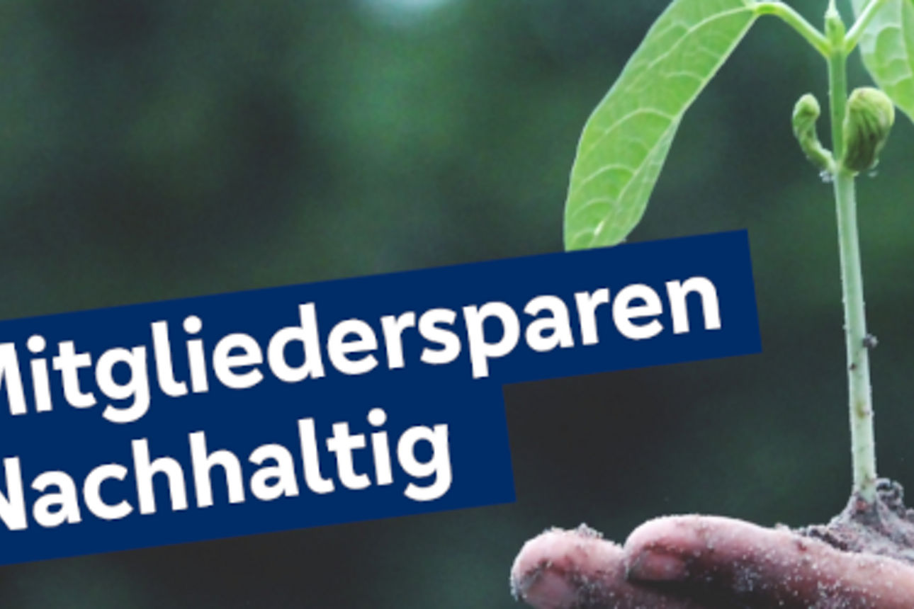 Eine Hand, die eine grüne, wachsende Pflanze in ihrer Handfläche hält