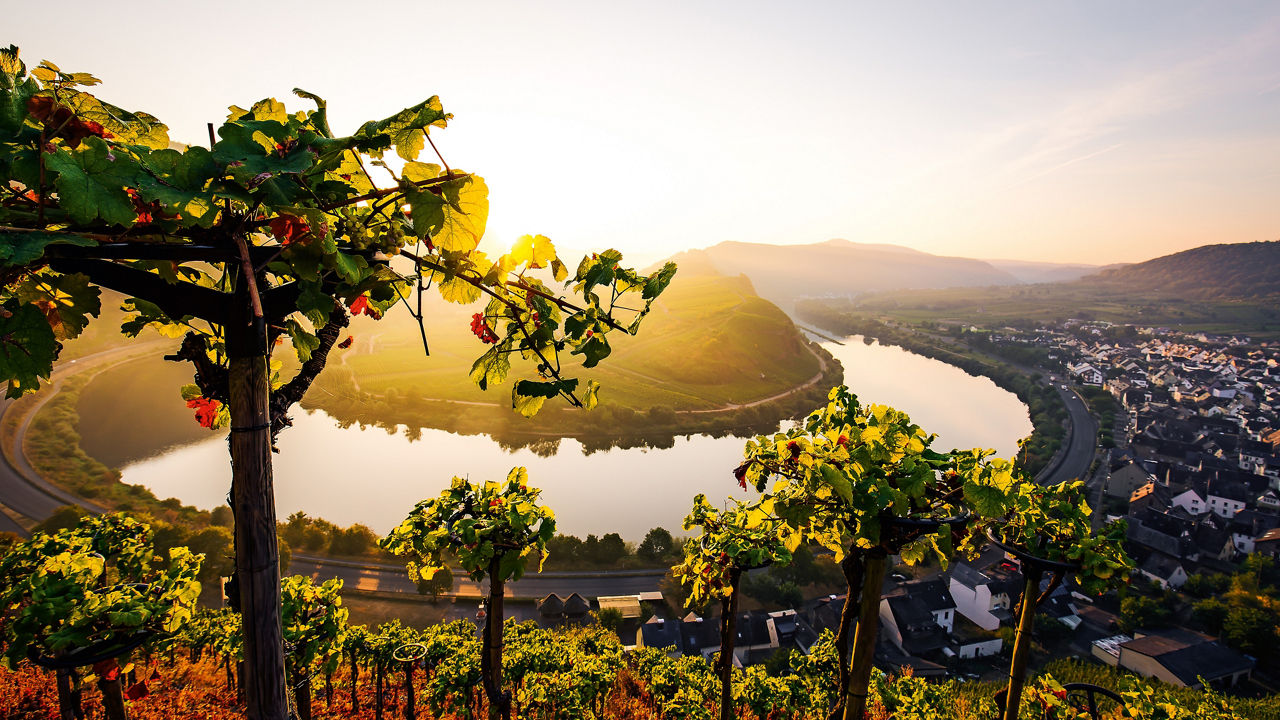 Fluss Mosel und Umgebung