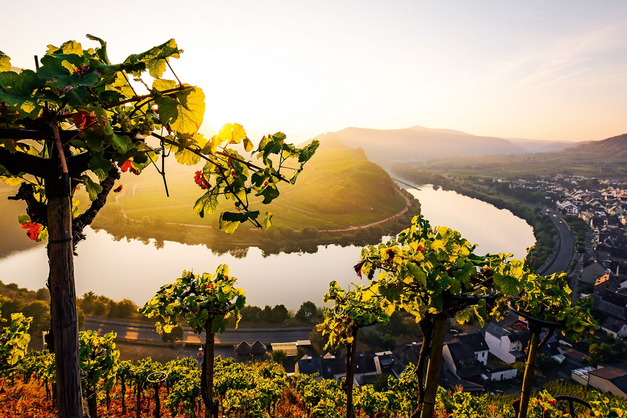 Fluss Mosel und Umgebung