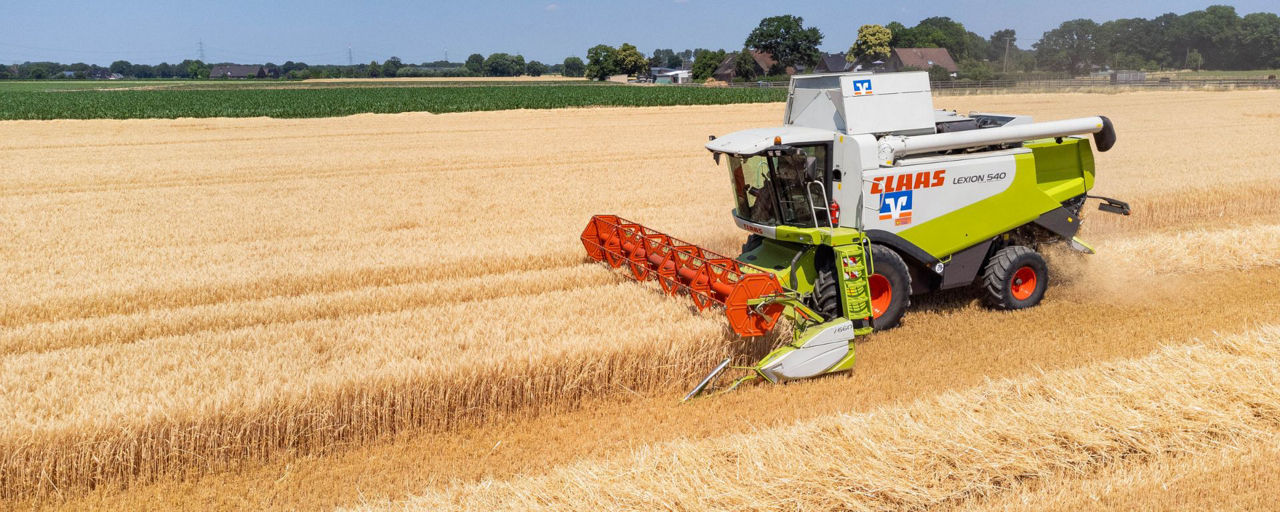 Mähdrescher mäht ein Kornfeld