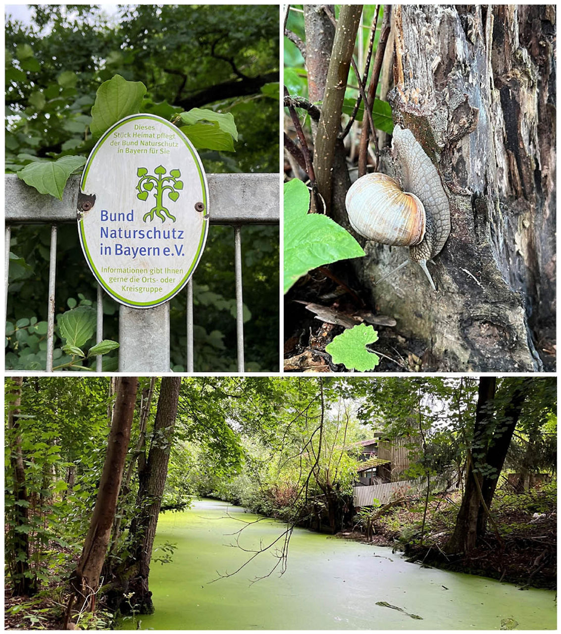 Das Mainau Grundstück vom BN Lichtenfels
