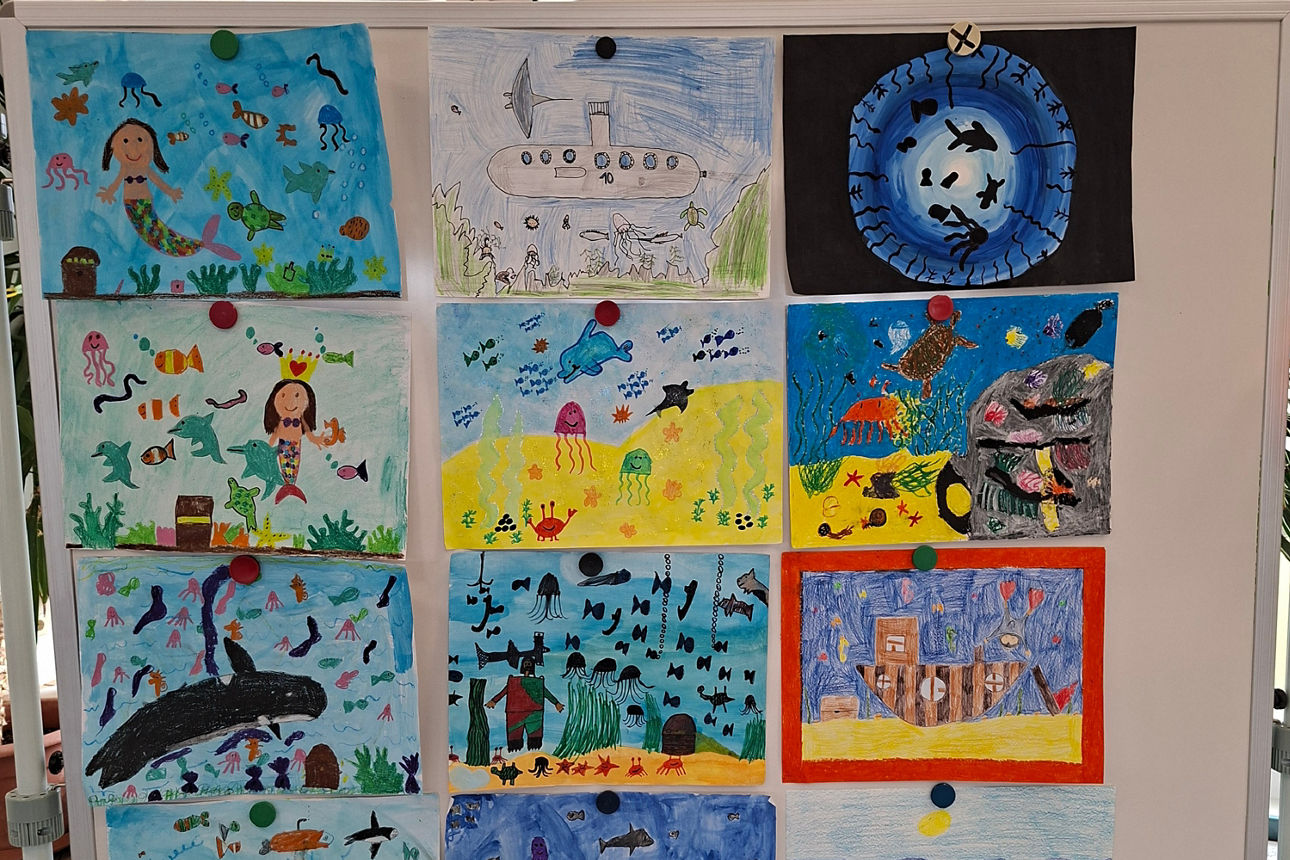 Pinnwand mit Bildern von Meerestieren