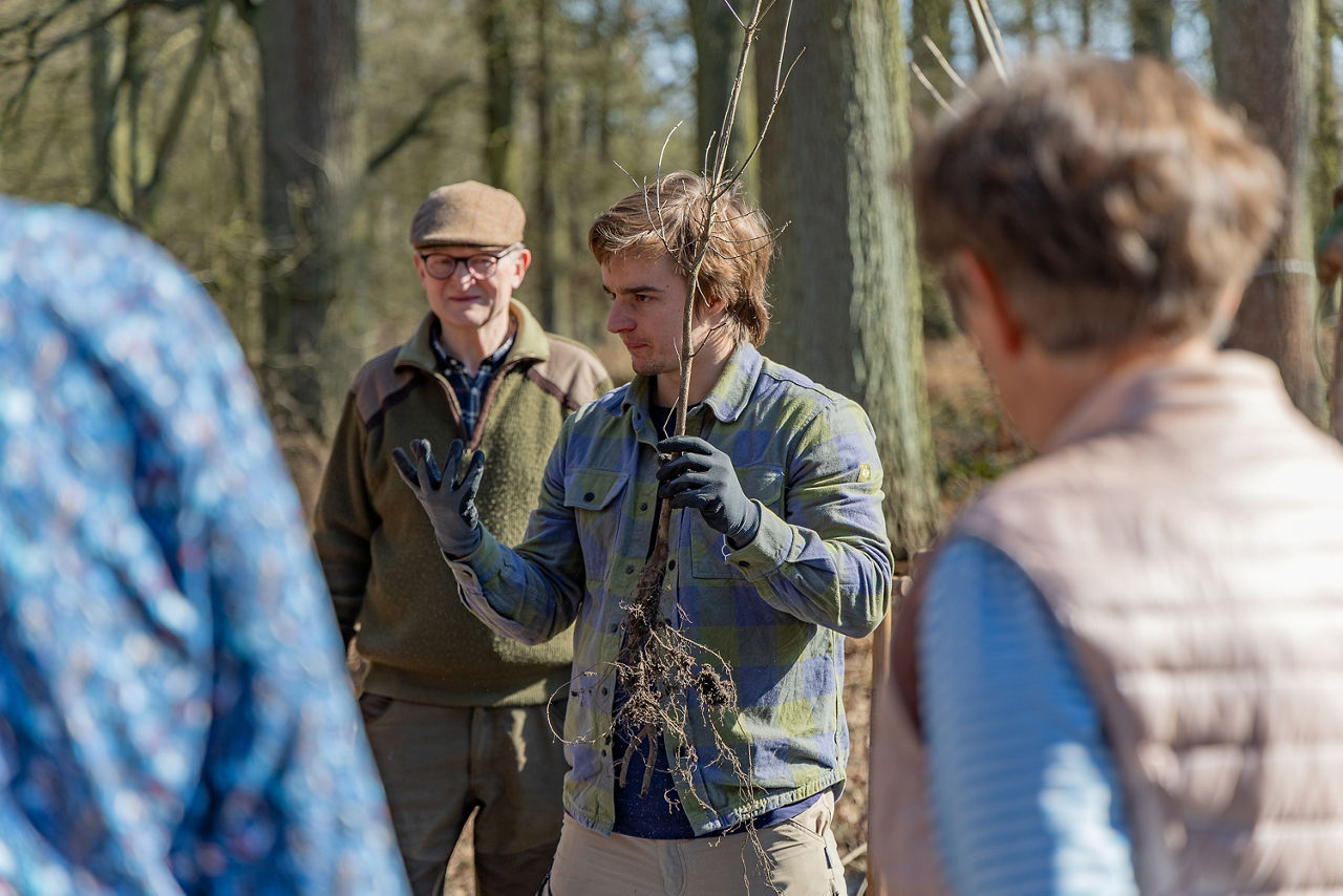 Eine Person hält mehrere junge Setzlinge in der Hand und zeigt sie einer kleinen Gruppe, die im Halbkreis davor steht. Der Hintergrund besteht aus einem lichten Wald mit hohen Stämmen. Die Person trägt Handschuhe und demonstriert die Wurzeln der Pflanzen. Die Szene vermittelt den Eindruck einer Schulungs- oder Erklärungssituation im Freien. Aufgenommen im Rahmen der Baumpflanzung der Volksbank Ruhr Mitte am 18.03.2026