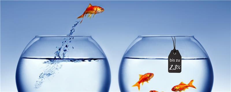 Goldfische
