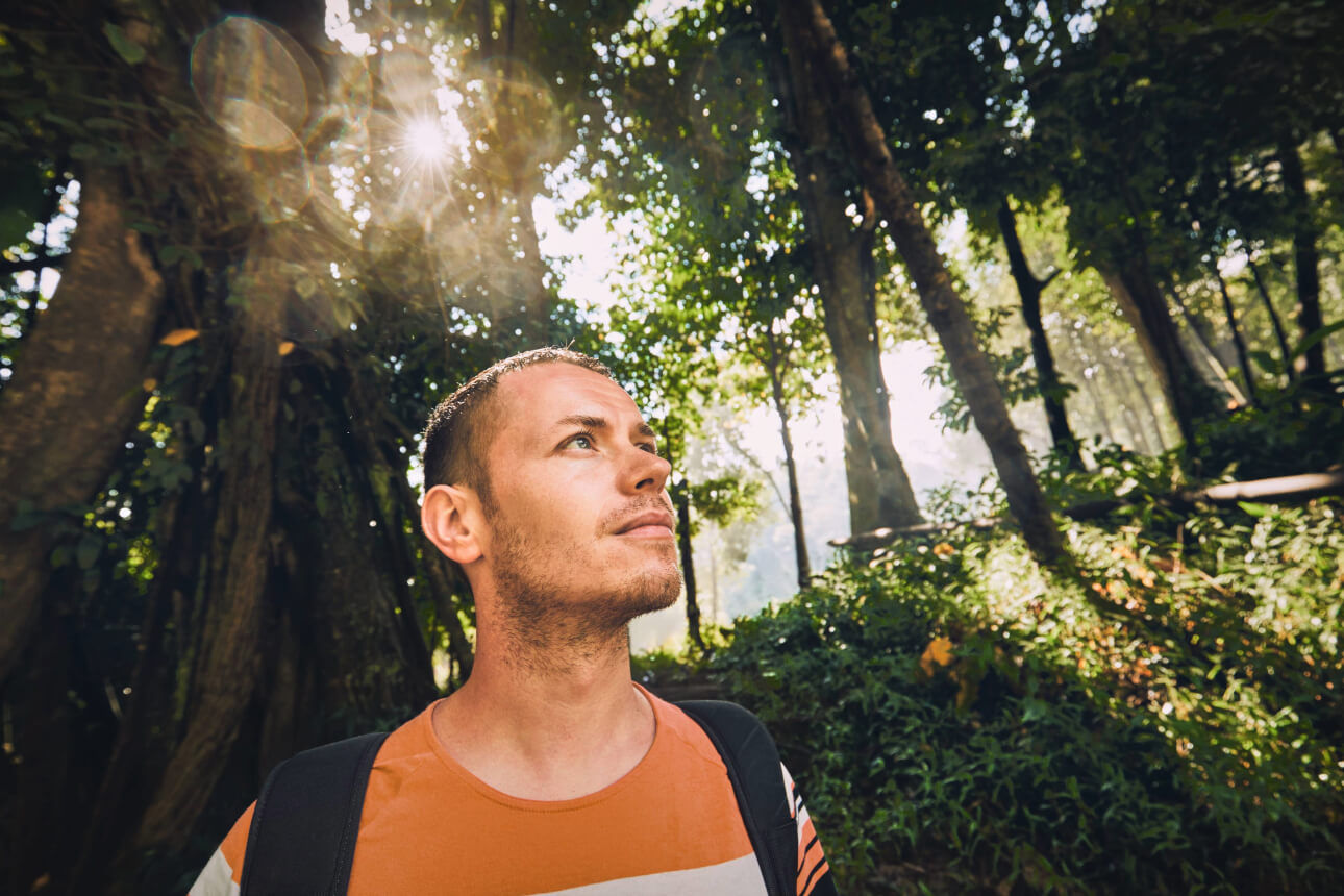 Ein junger Mann mit Rucksack steht im Wald und schaut zu den Bäumen hoch