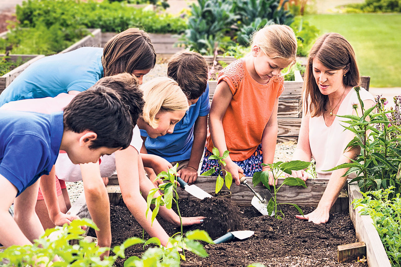 Mehrere Kinder pflanzen mit Schaufeln Blumen in ein Beet