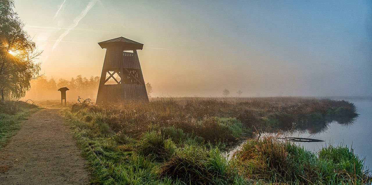 Gehlenbecker Moor im Morgengrauen