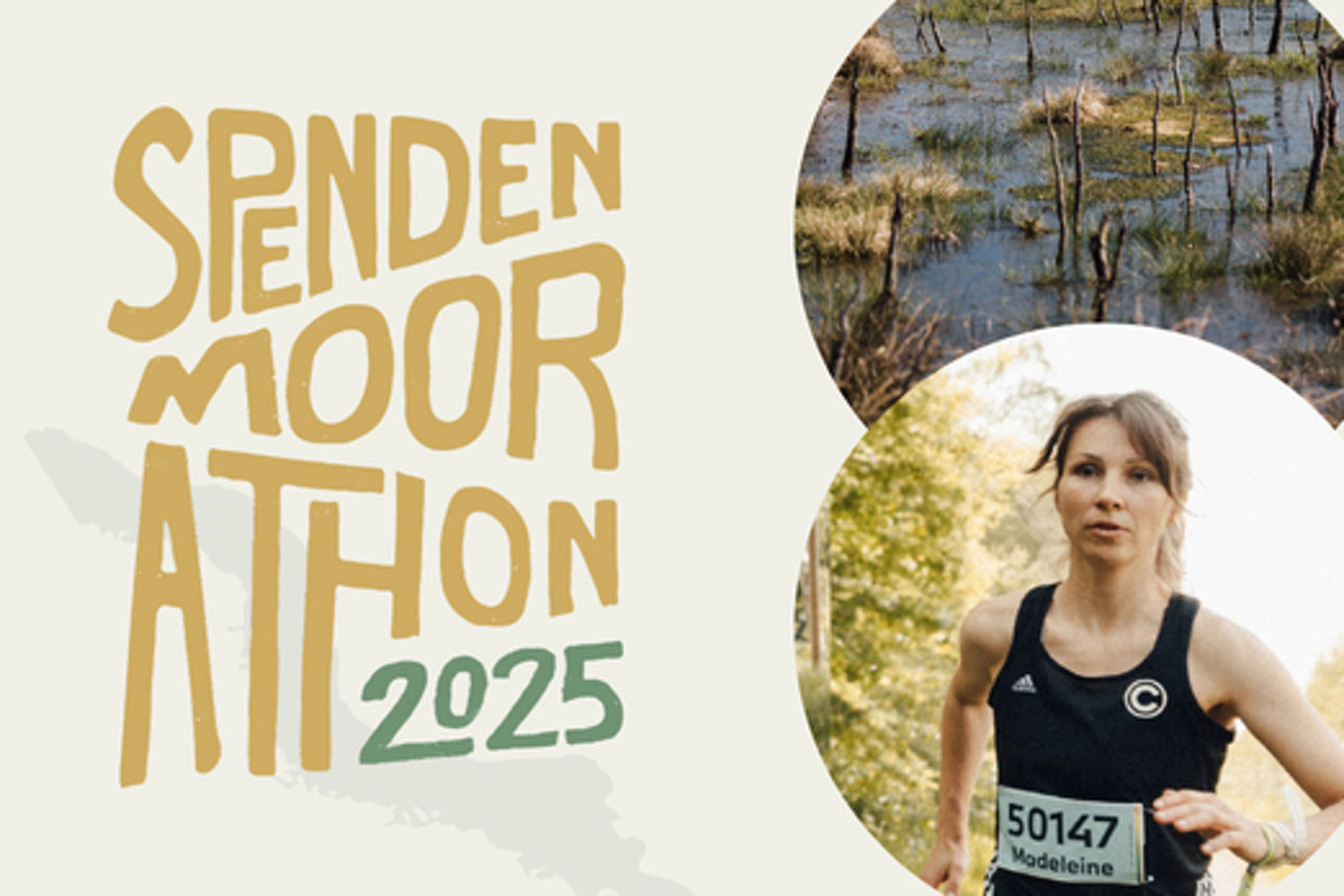 Joggende Frau und Bild von Moor in einer Grafik mit Schriftzug Spendenmoorathon 2025
