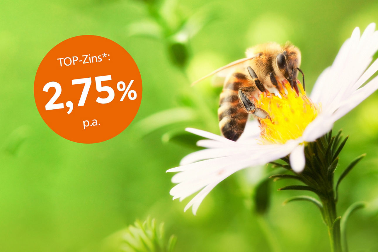 Biene sitzt auf einer Blume, daneben ein orangefarbener Störer mit dem TOP-Zins 2,75 % p.a.