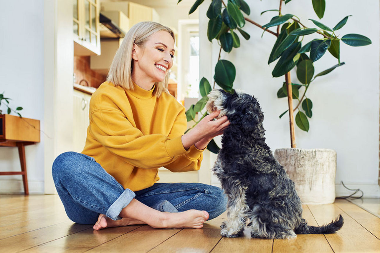 Frau streichelt ihren Hund