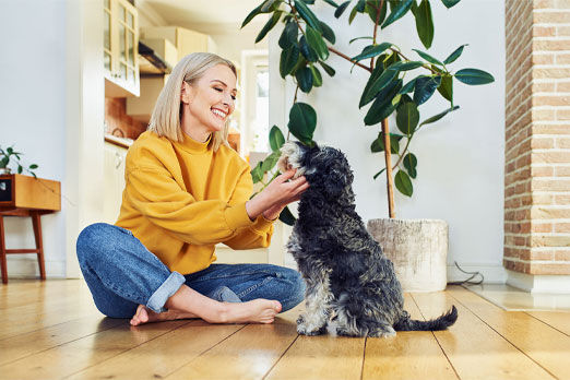 Glückliche Frau die ihren Hund streichelt