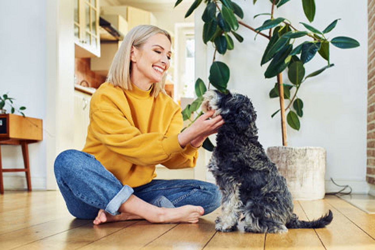 Glückliche Frau die ihren Hund streichelt