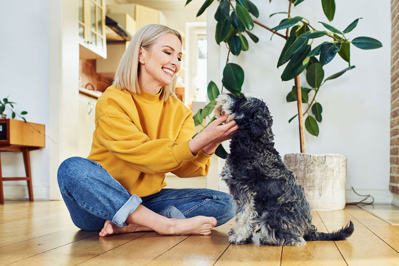 Glückliche Frau die ihren Hund streichelt