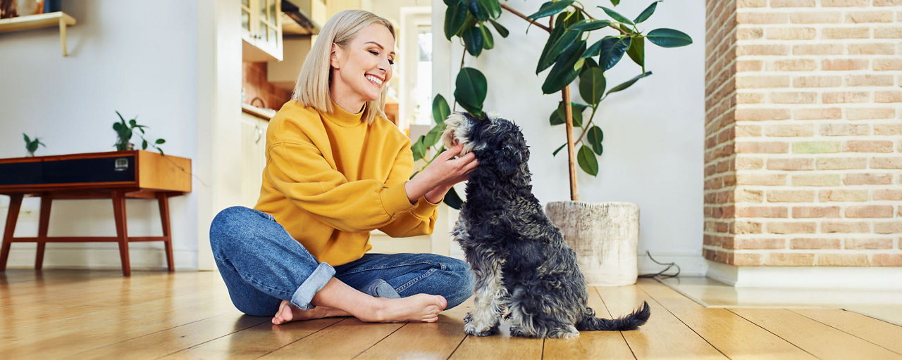 Glückliche Frau die ihren Hund streichelt