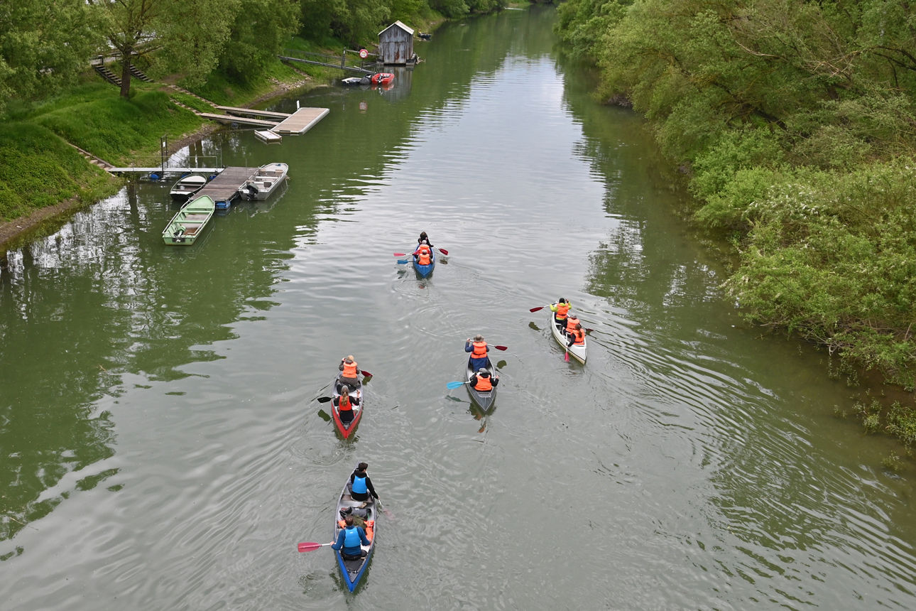 Fünf Kanus fahren auf einem Fluss