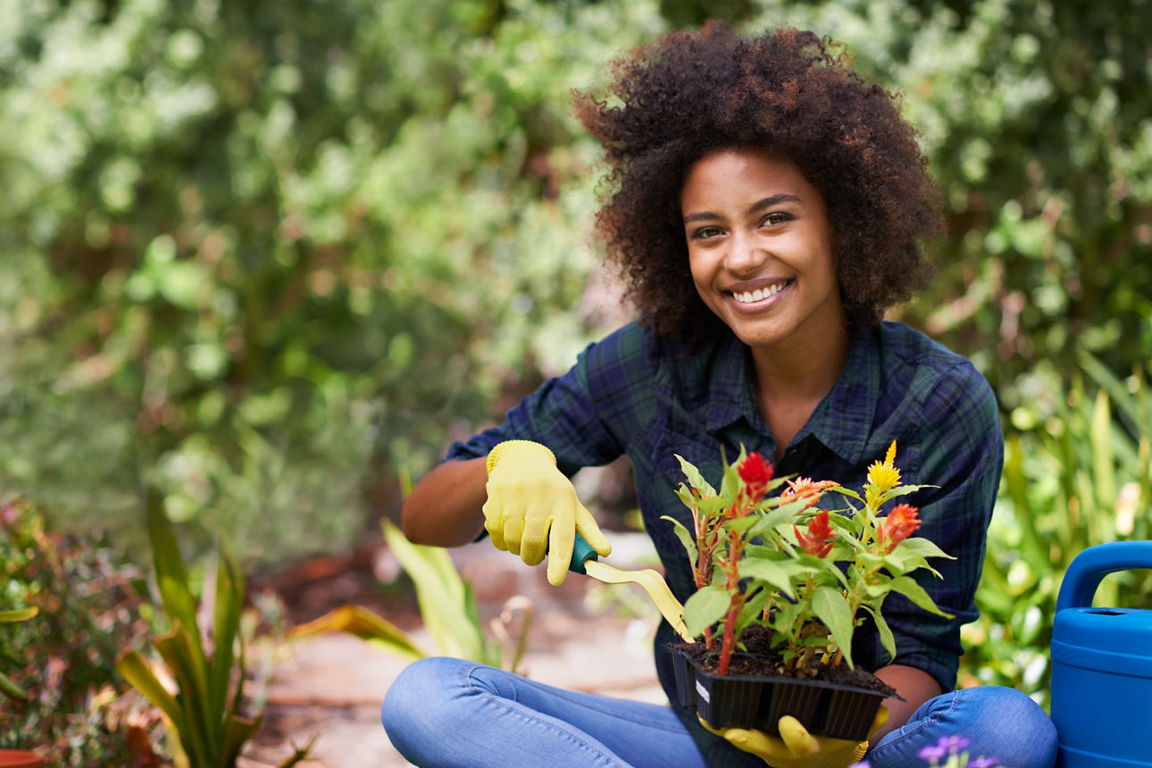 Eine Gruppe von Freiwilligen pflanzt Blumen in einem Gemeinschaftsgarten