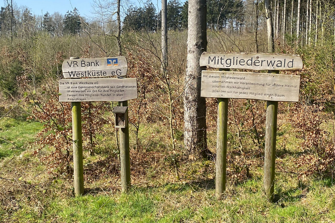 Eine junge Pflanze wird eingepflanzt