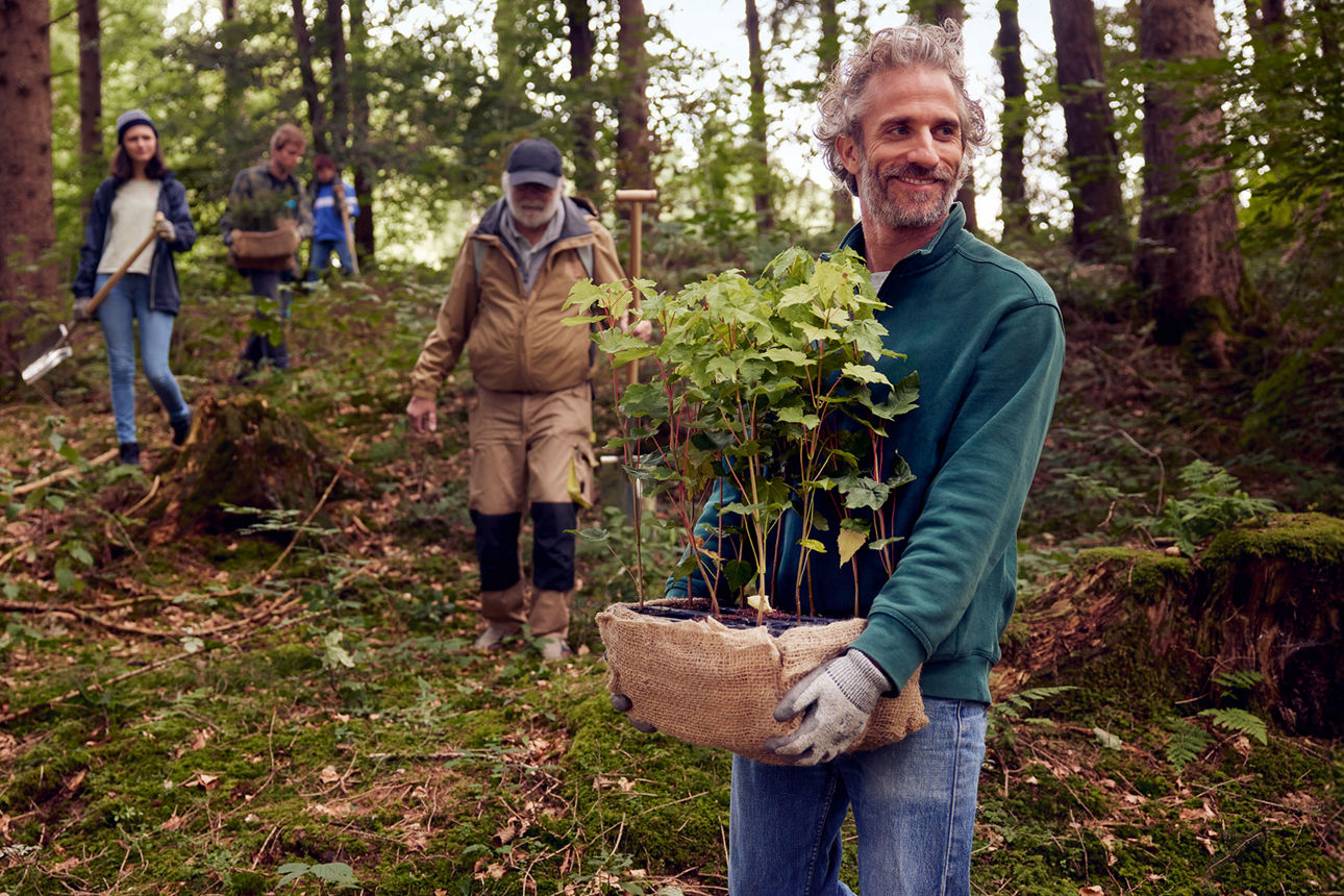 Eine Gruppe von Menschen in einem Wald beim pflanzt junge Bäume